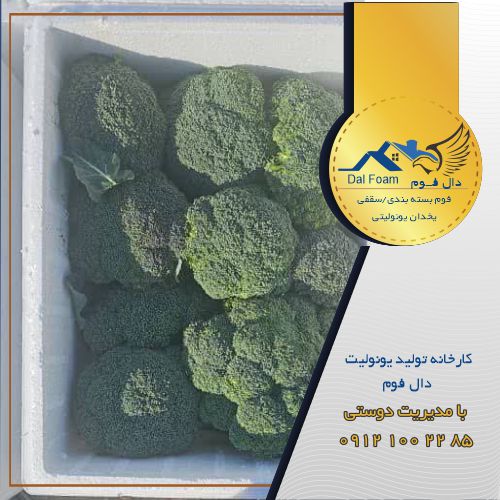 خرید انواع یخدان یونولیتی