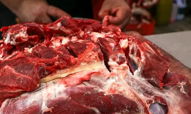 قیمت روز گوشت قرمز ۹ مرداد ۱۴۰۴ / آخرین نرخها در بازار قیمت روز گوشت قرمز ۹ مرداد ۱۴۰۴ / آخرین نرخها در بازار