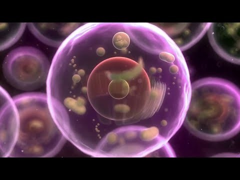 کاربردهای DNA