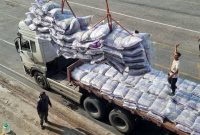 دادستان تهران: برخورد قاطع با محتکران برنج و اخلالگران بازار آغاز شد / ۲۰۰ تیم گشت مشترک فعال می‌شوند