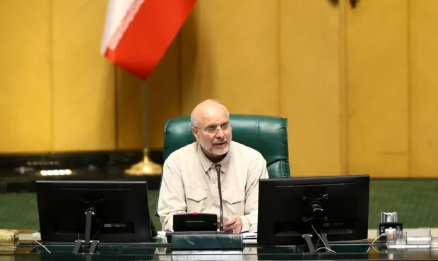 رئیس مجلس: کوپن قدیم با یارانه فعلی چه تفاوت‌هایی دارد