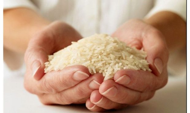 قیمت روز برنج ایرانی و خارجی در بازار | ۱۵ دی ۱۴۰۴
