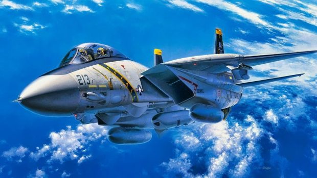 F-14 تامکت