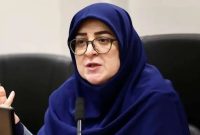 هدف اینترنت پرو ارتباط پایدار برای کسب‌و‌کارهاست، نه قطع دسترسی عمومی